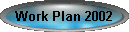 Work Plan 2002